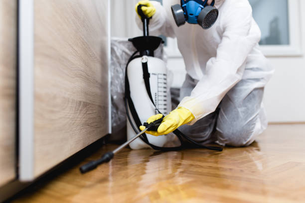 Best Cockroach Control Services  in Lochbuie, CO