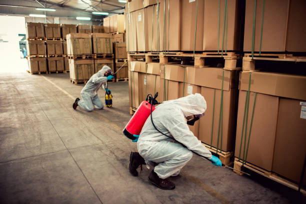 Best Exterminator Services  in Lochbuie, CO