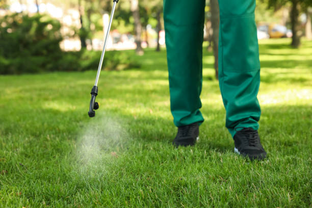 Best Residential Pest Control  in Lochbuie, CO