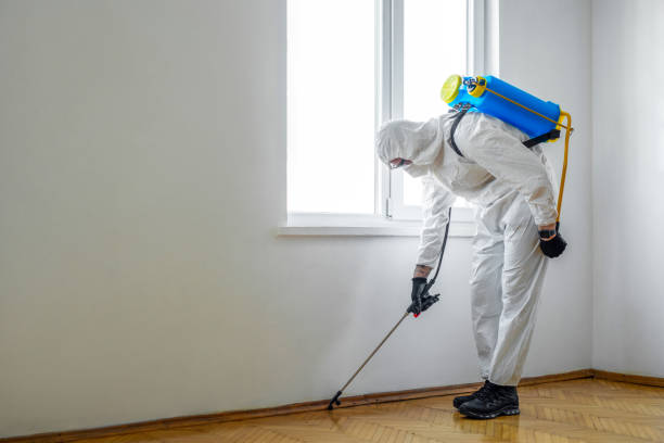 Best Rat Extermination Near Me  in Lochbuie, CO