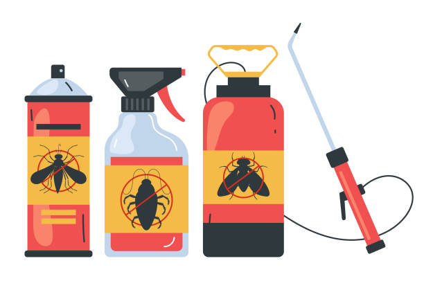 Reliable Lochbuie, CO Pest Control Solutions