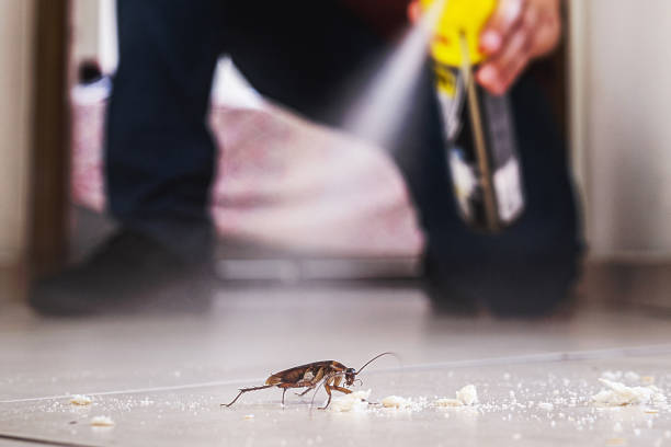 Best Pest Removal Services  in Lochbuie, CO