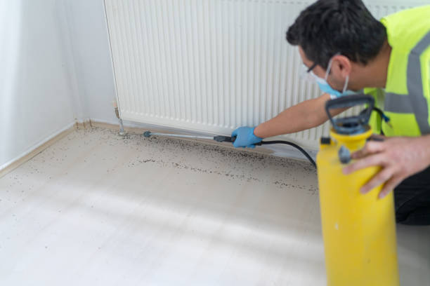 Best Commercial Pest Control Services  in Lochbuie, CO